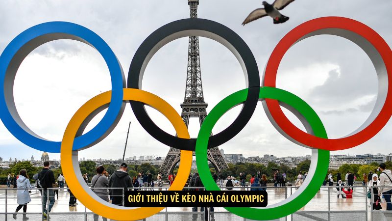 Kèo Nhà Cái Olympic: Những Kèo Hấp Dẫn 2 Giới thiệu về kèo nhà cái Olympic